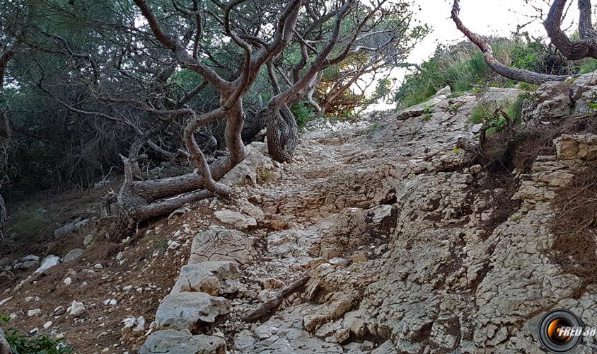 En direction de la calanque.