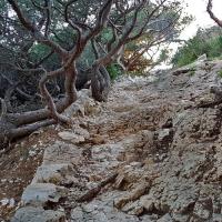 En direction de la calanque.