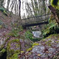 Passerelle sur le canyon.