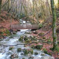 La première passerelle.