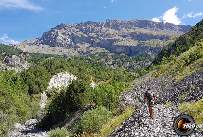 Le long du Ravin du Réal.