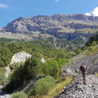 Le long du Ravin du Réal.