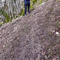 La montée à la Balme.