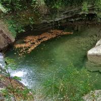 Haut de la cascade.