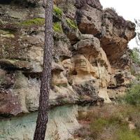 Le bas de la falaise.
