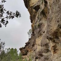 Le bas de la falaise.