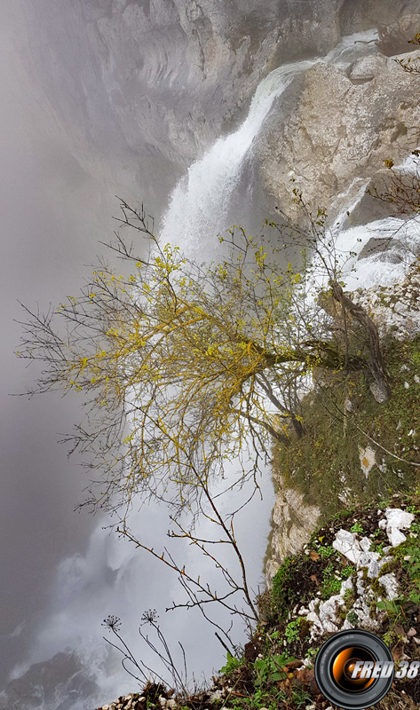 Le haut de la cascade.