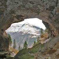 L'entrée.