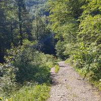 Sur la piste.