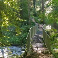 La première passerelle.