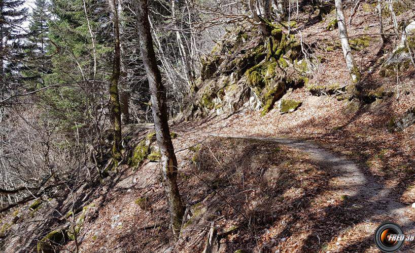 Descente sur Bramabiau.