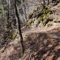 Descente sur Bramabiau.