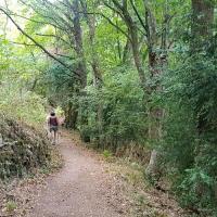 Sentier vers la fin.