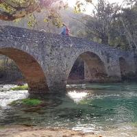 Le petit pont.