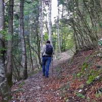 Début de sentier.