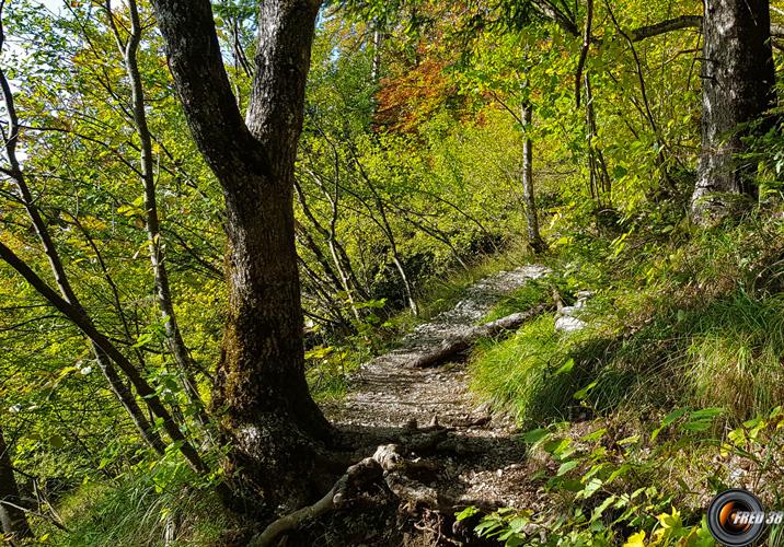 On quitte le sentier principal.