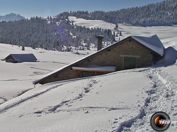 Chalet de l alpe photo