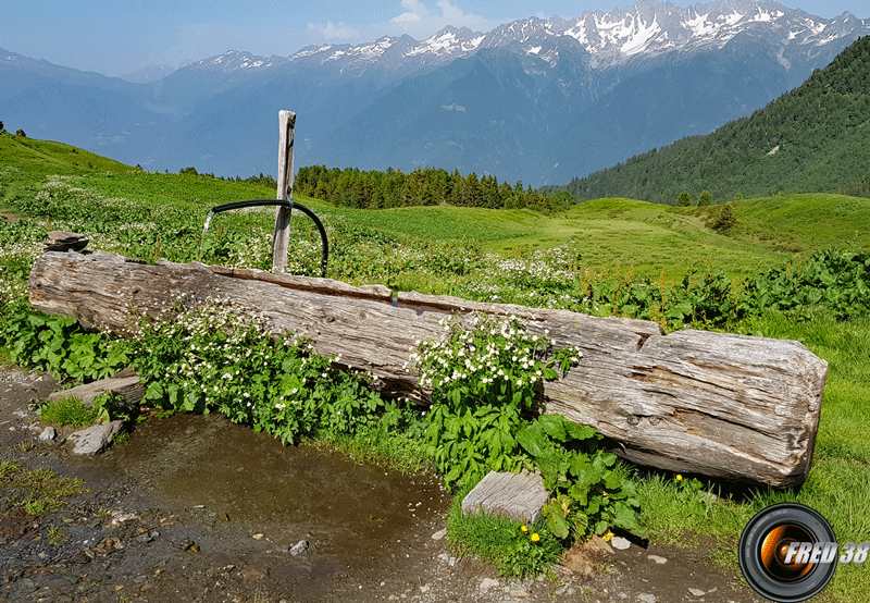 La fontaine.