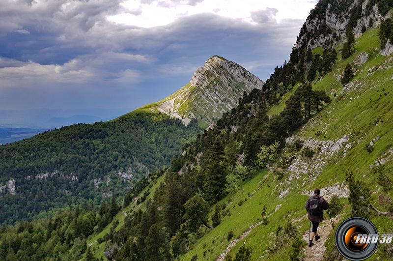 La Grande Sure vue sous le goulet.