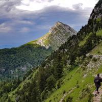 La Grande Sure vue sous le goulet.