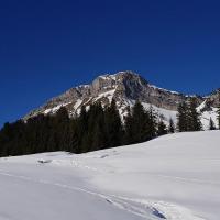 Sous le Colombier.
