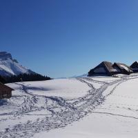 Arrivée au chalets.