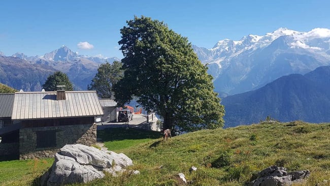 Chalets de varan photo 3