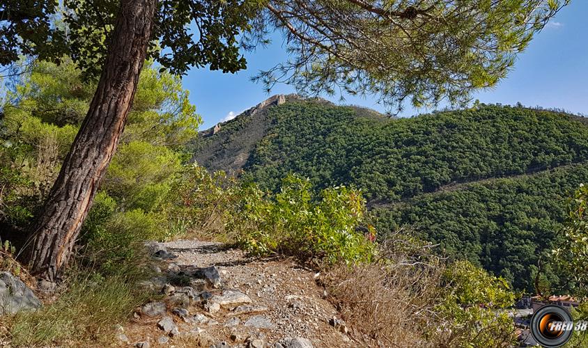 sentier au dessus de digne.