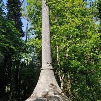 Croix des Carriers.