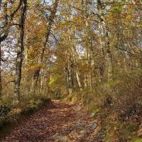 Sur le chemin.