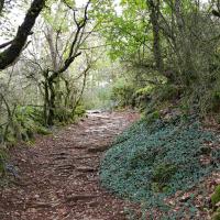 Sentier de départ.