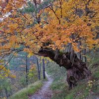 En cours de montée.