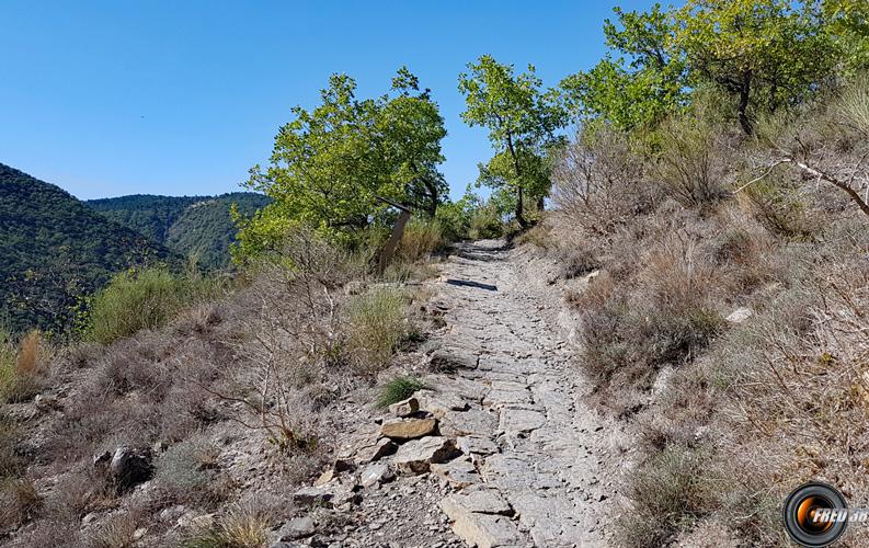 sur le sentier.