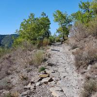 sur le sentier.