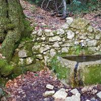 Souce sur l'itinéraire.