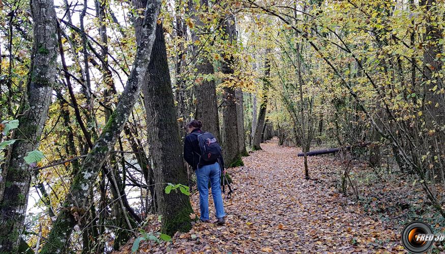 Le chemin suit le Rhône.