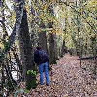 Le chemin suit le Rhône.