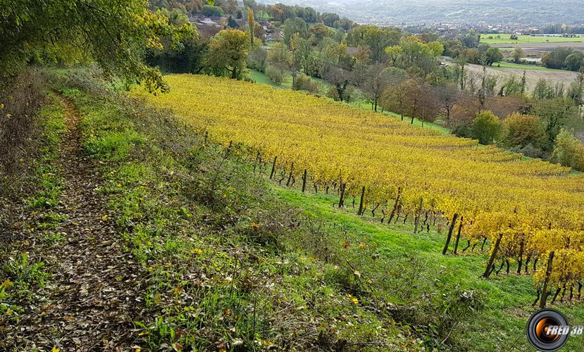 Descente sur Lagnieu.