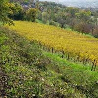 Descente sur Lagnieu.