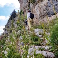 L'escalier.