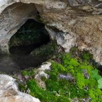 Petit trou naturel comme un bénitier.