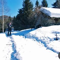 En Montant à Prodin.