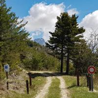 Au col Bertaud.