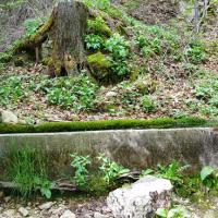 Fontaine de Fretevieille
