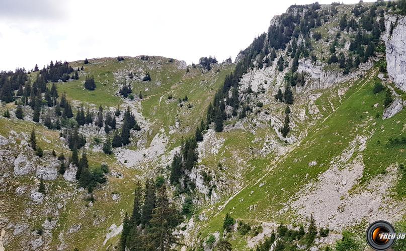 Descente dans la combe