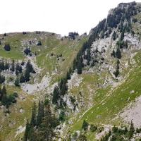 Descente dans la combe