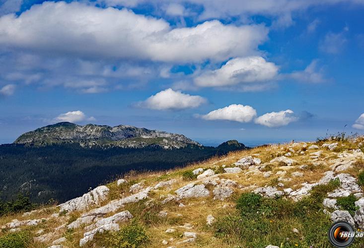 Vue sur la Grande Sure