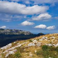Vue sur la Grande Sure