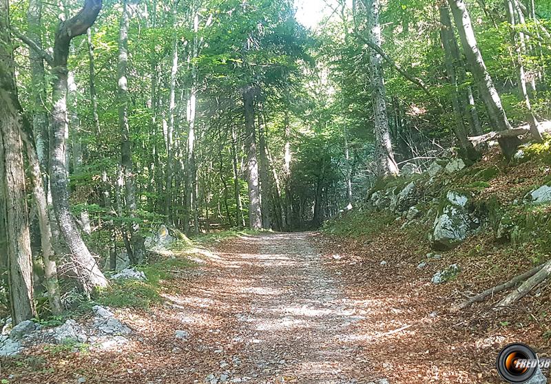 Sur la piste.