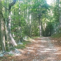 Sur la piste.